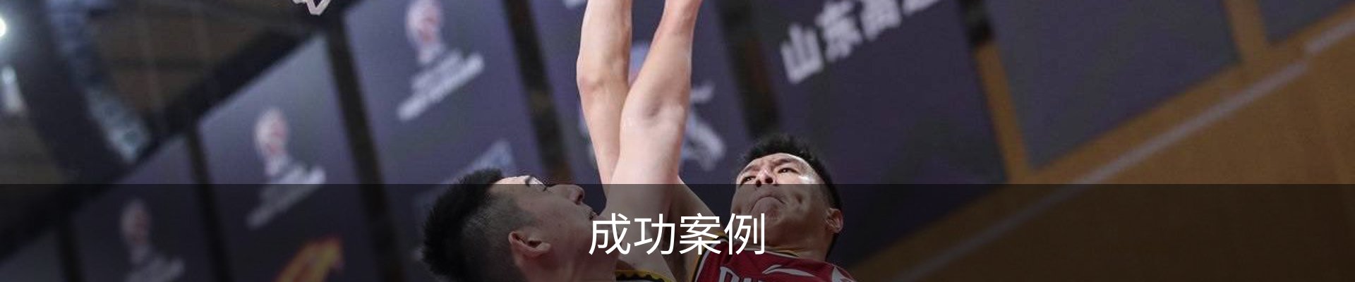 成功案例